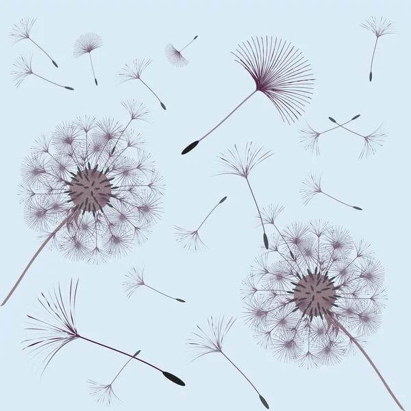 Abstract background of a dandelion for design. — Stock Vector