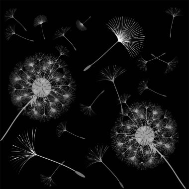 Bir karahindiba tasarımı için arka plan.