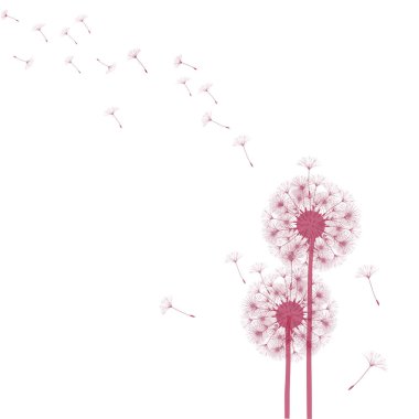 Bir karahindiba tasarımı için arka plan.