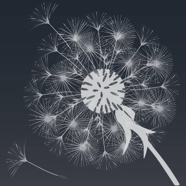 Bir karahindiba tasarımı için arka plan. 