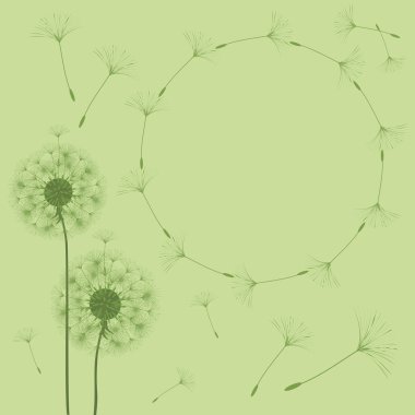 Bir karahindiba tasarımı için arka plan. 