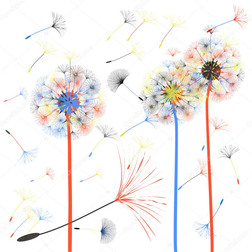 Abstract background of a dandelion for design. 