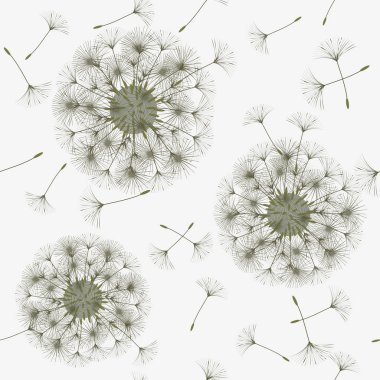 Sorunsuz bir karahindiba kökenli.