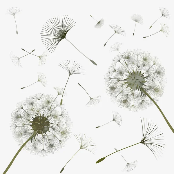 Abstract background of a dandelion for design. — Stock Vector