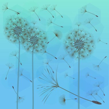 Bir karahindiba tasarımı için arka plan. 