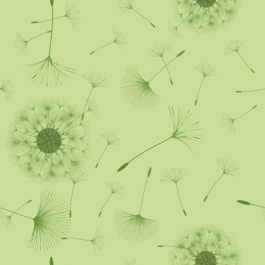 Sorunsuz bir karahindiba kökenli.