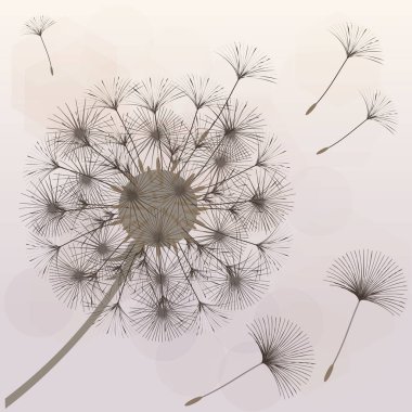 Bir karahindiba tasarımı için arka plan. 