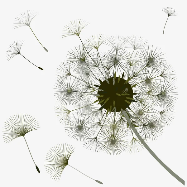 Bir karahindiba tasarımı için arka plan. 