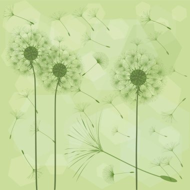 Bir karahindiba tasarımı için arka plan. 