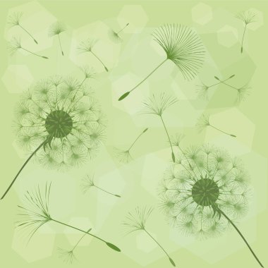 Bir karahindiba tasarımı için arka plan. 