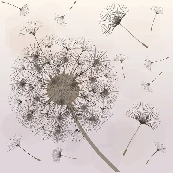 Abstract background of a dandelion for design. — Stock Vector