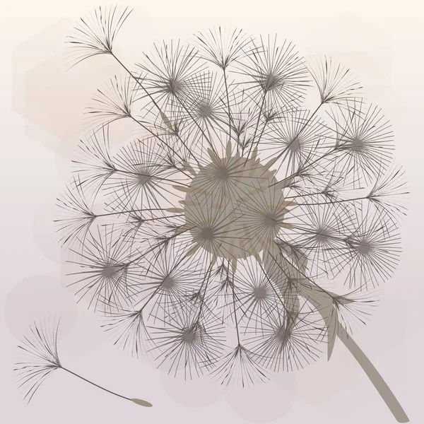 Abstract background of a dandelion for design. — Stock Vector