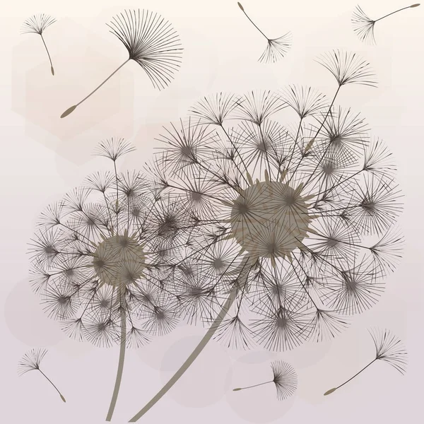 Risultati Immagini Per Soffione Disegno Stilizzato Immagini Disegni