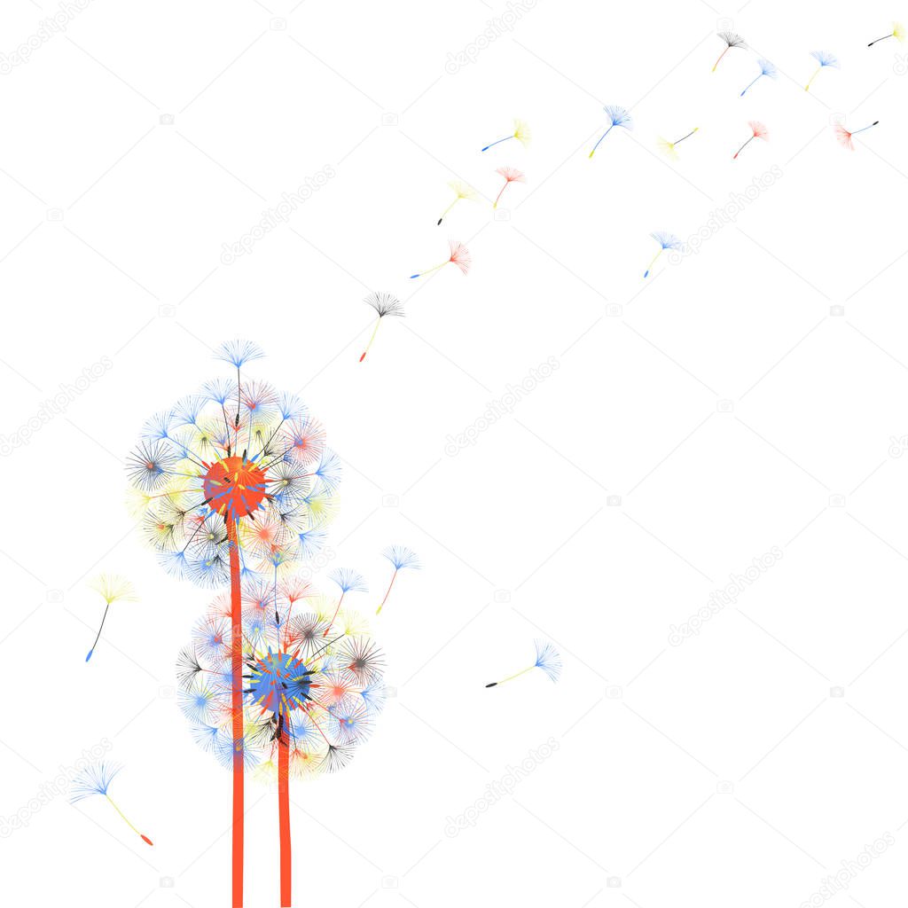 Abstract background of a dandelion for design. 