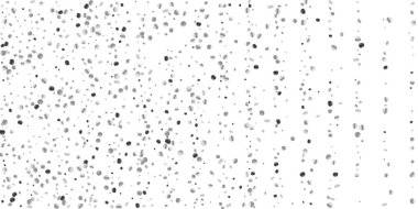 Konfeti Gümüş Parlatıcı 