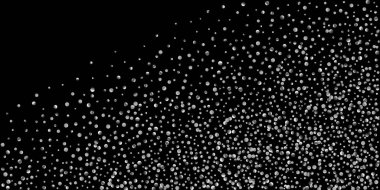 Konfeti Gümüş Parlatıcı 