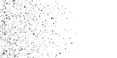 Konfeti Gümüş Parlatıcı 