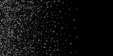 Konfeti Gümüş Parlatıcı 