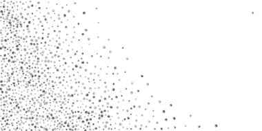 Konfeti Gümüş Parlatıcı 