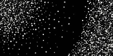 Konfeti Gümüş Parlatıcı 