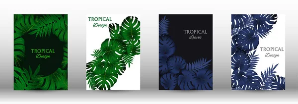 Un ensemble de tropiques — Image vectorielle