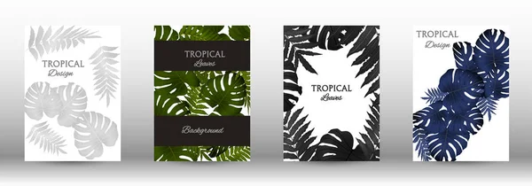 Una serie di tropici — Vettoriale Stock