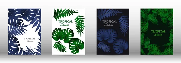 A set of tropic — Stock Vector