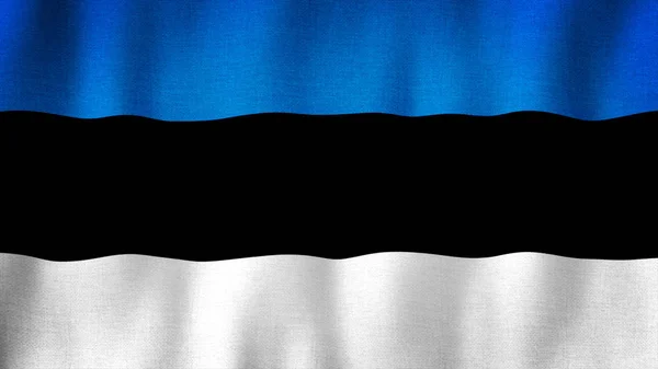 Észt Zászló Lengett Szélben Reális Észt Zászló Rendkívül Részletes Textúrával — Stock Fotó