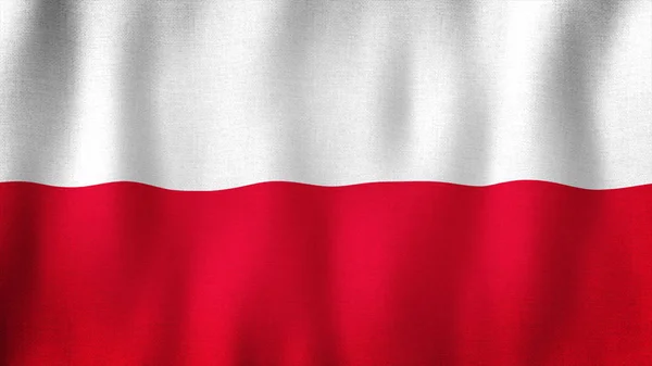 波兰国旗在风中飘扬 具有非常详细面料纹理的现实波兰国旗的布景 — 图库照片