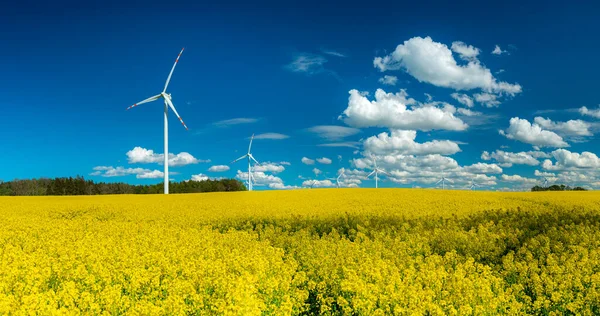 Türbinli ve yenilenebilir yeşil enerjili kırsal alan temiz ve ekolojik elektrik üretiyor. Elektrik üretimi için yel değirmeni. Rüzgar türbinleri elektrik üretiyor. Yenilenebilir enerji kavramı.