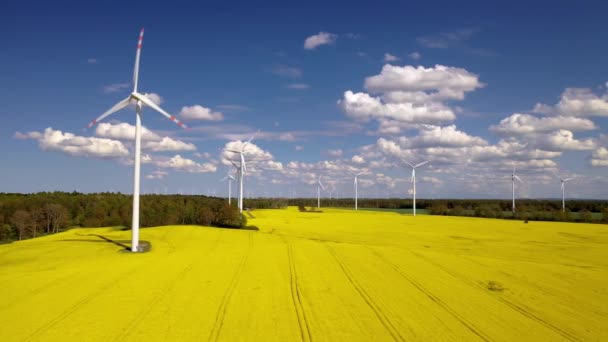 Paesaggio Rurale Con Turbina Rinnovabile Energia Verde Generando Elettricità Pulita — Video Stock