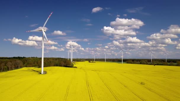 Energie Rinnovabili Energia Eolica Con Mulini Vento Turbine Eoliche Fattoria — Video Stock
