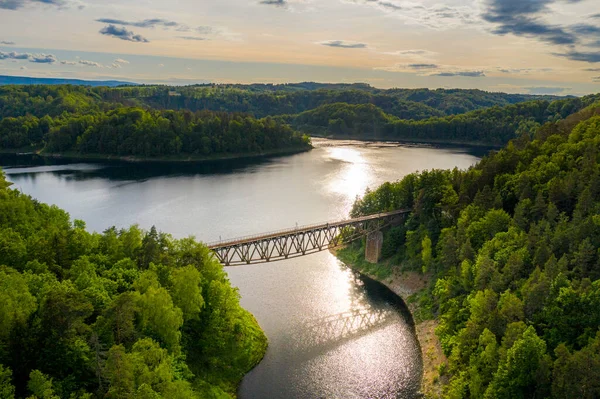 Pilchowice 'deki Bobr Nehri üzerindeki çelik kaplama demiryolu köprüsünün havadan görünüşü, Polonya' nın Pilchowice şehrinde güneşli bir yaz gününde adaları ve dağlarda yeşil ormanları olan güzel bir göl.