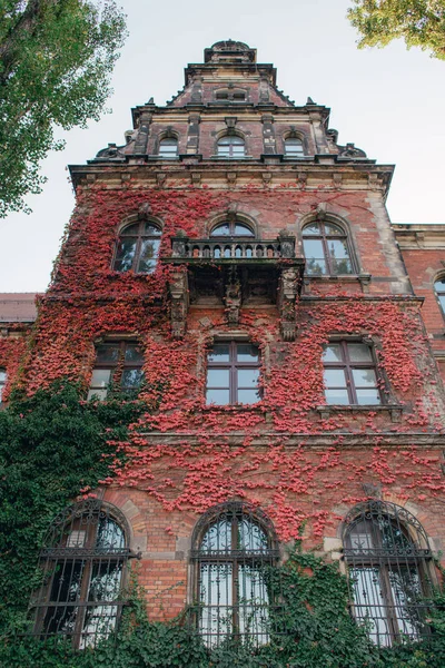 Εθνικό Μουσείο Τέχνης Στο Wroclaw — Φωτογραφία Αρχείου