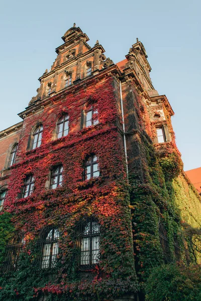 Museum Van Nationale Wroclaw Stockfoto