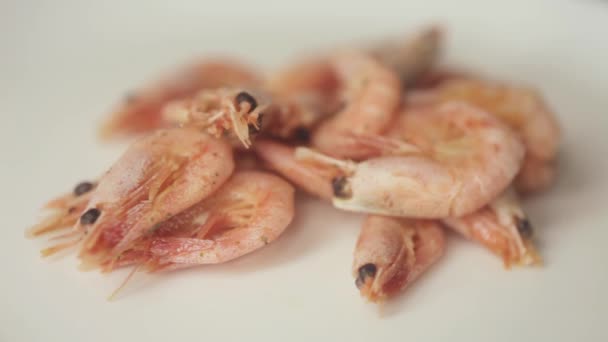 Camarones Marinos Hervidos Jugosos Plato Cerámica Blanca Con Sal Condimentos — Vídeo de stock