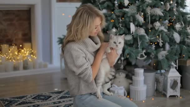 Ein Mädchen Spielt Mit Einer Katze — Stockvideo