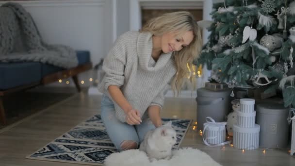 Seorang Gadis Bermain Dengan Kucing — Stok Video