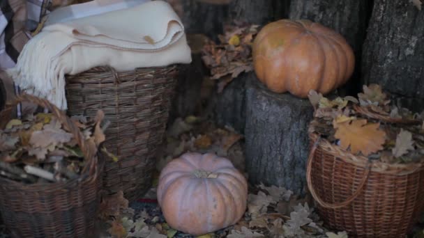 Herbsthäuschen Mit Decken Und Kürbissen — Stockvideo