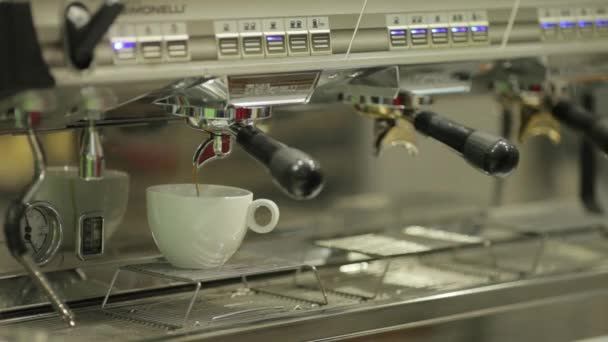 Barista Chica Vierte Americano Blanco Taza — Vídeo de stock