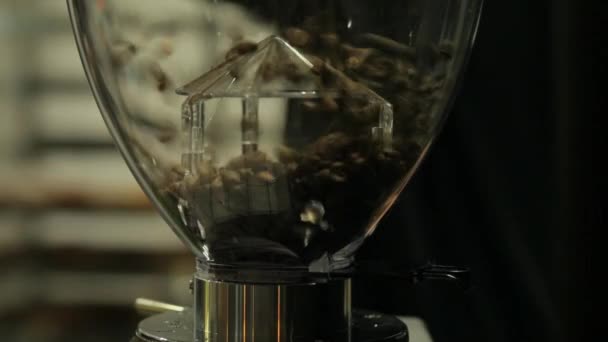 Koffiebonen Gegoten Een Transparante Koffiemolen — Stockvideo