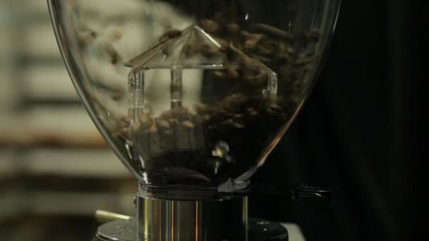 Chicchi Caffè Versati Macinino Caffè Trasparente — Video Stock