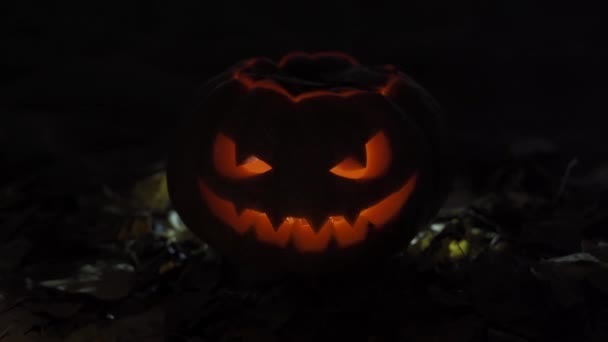 Pumpa Lampa Jack För Halloween Alla Helgon Dag — Stockvideo