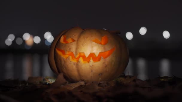 Kürbis Lampenstecker Für Halloween Allerheiligen — Stockvideo