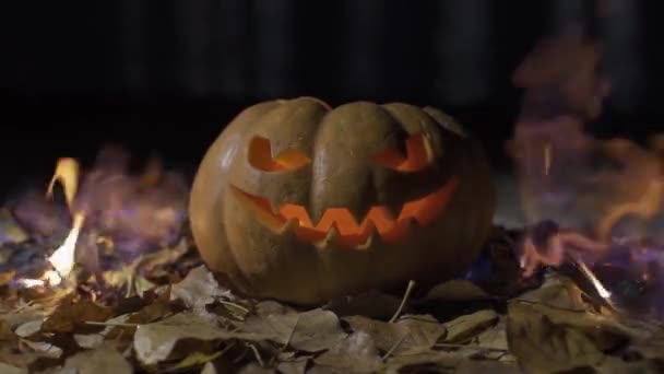 Abóbora Lâmpada Jack Para Halloween Todos Santos Dia — Vídeo de Stock