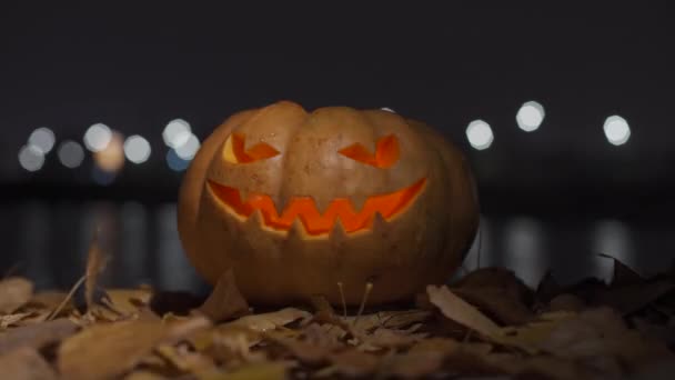 Kürbis Lampenstecker Für Halloween Allerheiligen — Stockvideo