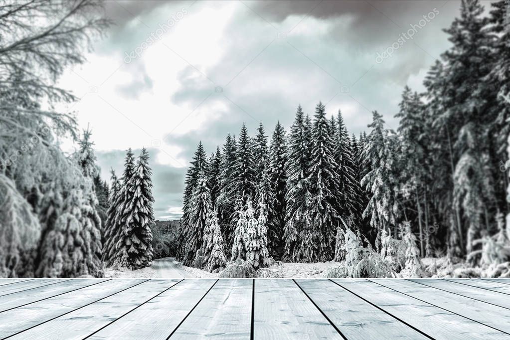 winter and wood background