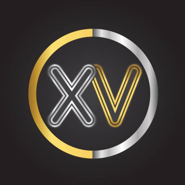 Gümüş altın harfler xv ile vektör çizim