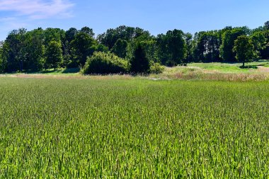 Varmdo 'daki çayırların ve tarlaların içinden birçok çakıl yolu adanın etrafındaki çiftliklere ve kulübelere çıkıyor..