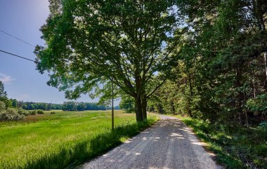 Varmdo 'daki çayırların ve tarlaların içinden birçok çakıl yolu adanın etrafındaki çiftliklere ve kulübelere çıkıyor..